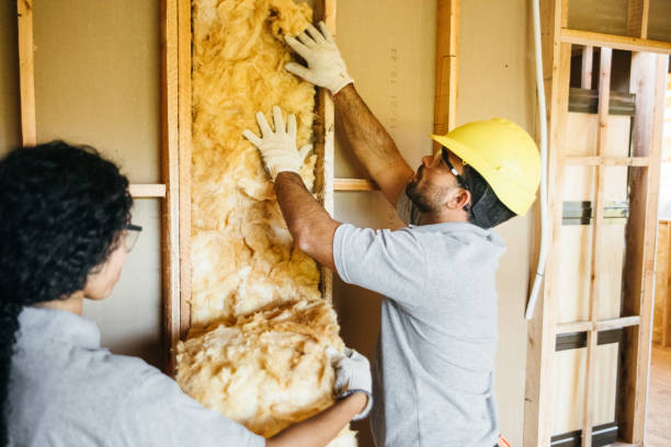 Best Eco-Friendly or Green Insulation Solutions  in Dekal, IL